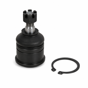 Ball Joint Honda Crv - 2002 (Lower)