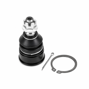Ball Joint Honda Civic 2001 (Lower)
